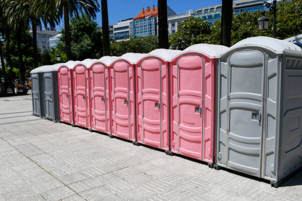 Best Standard Portable Toilet Rental  in Wheatley Heights, NY